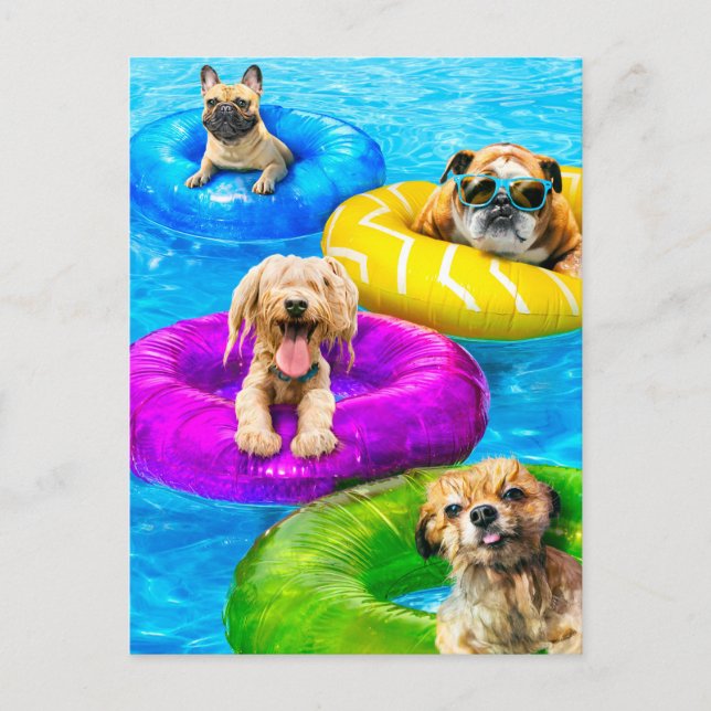 Cartão Postal De Convite Festa da Piscina do Cachorro (Frente)