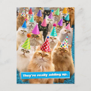 Cartão Postal De Convite Festa de Gatos