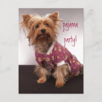 Festa de Pijama do Yorkie