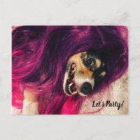 Festa Engraçada de Cachorro Punk Rock Corgi dos an