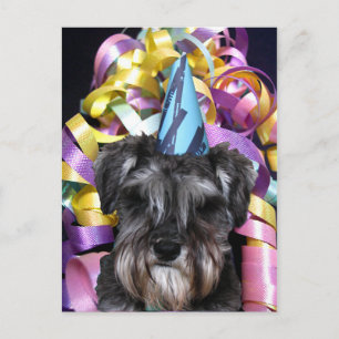 Cartão Postal De Convite Fita do Schnauzer da festa de aniversário atrás