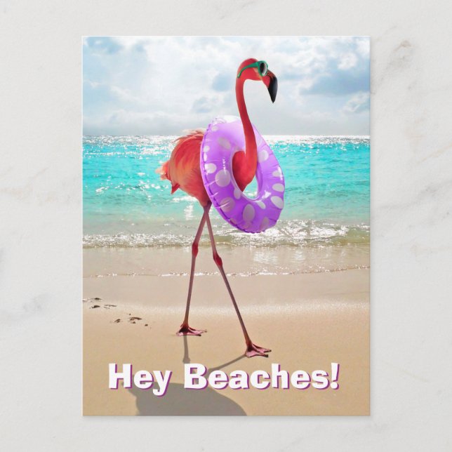 Cartão Postal De Convite Flamingo Com Tubo Interior (Frente)