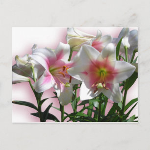 Cartão Postal De Convite Flores Fogem Festa de Chá de Amor Primavera