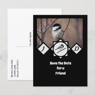 Cartão Postal De Convite Foto de Monograma Adorável Carolina Chickadee