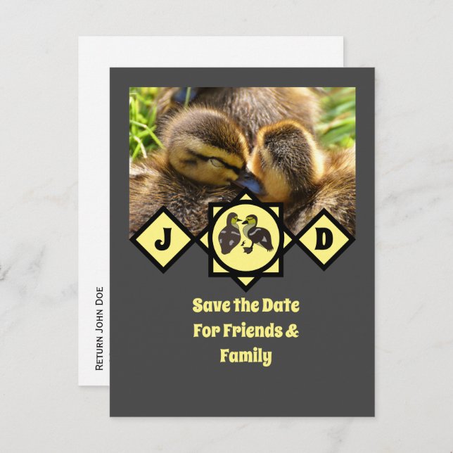 Cartão Postal De Convite Foto de Monograma de Ducklings Adorável (Frente/Verso)