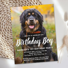 Cartão Postal De Convite Foto personalizada de Pet de Festa de aniversário 