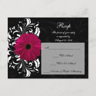 Cartão Postal De Convite Fuchsia Scroll Gerbera Daisy w/Black and White