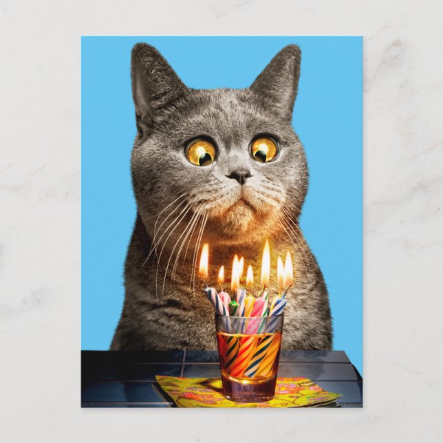 Cartão Postal De Convite Gato Com Copo De Brinde De Aniversário (Frente)
