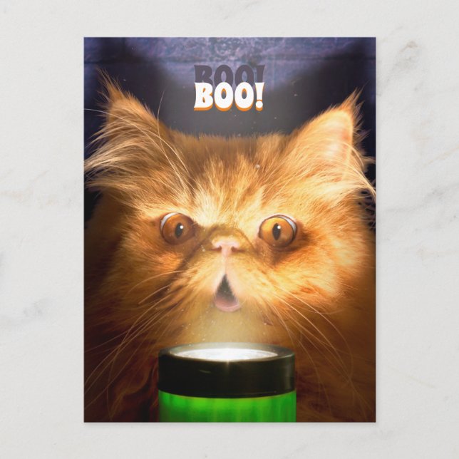 Cartão Postal De Convite Gato com lanterna (Frente)