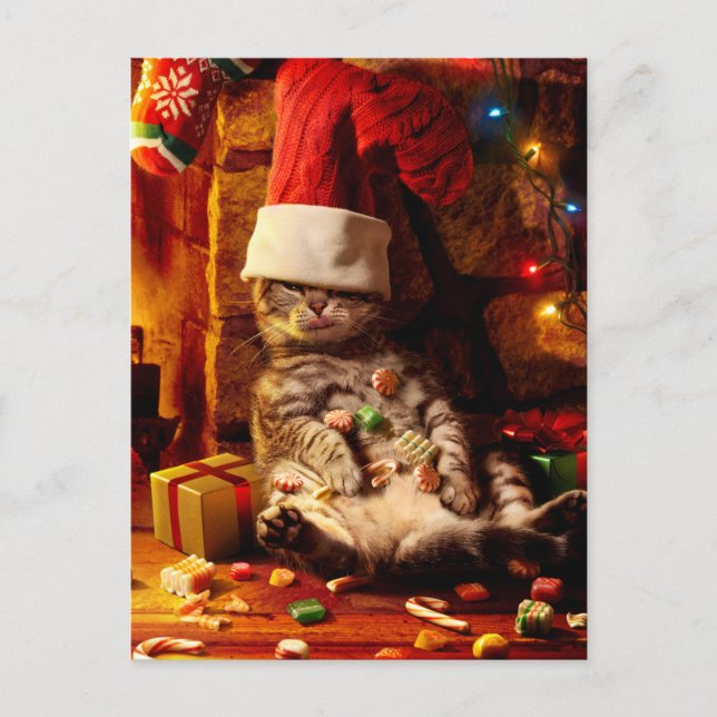 Cartão Postal De Convite Gato Com Meia na Cabeça (Frente)