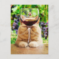 Gato com Vidro de Vinho