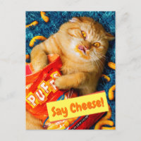 Gato Comendo Pinos De Queijo