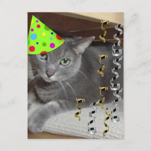 Cartão Postal De Convite Gato de Cinza de animais de festa