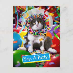 Cartão Postal De Convite Gato Em Cone De Festa