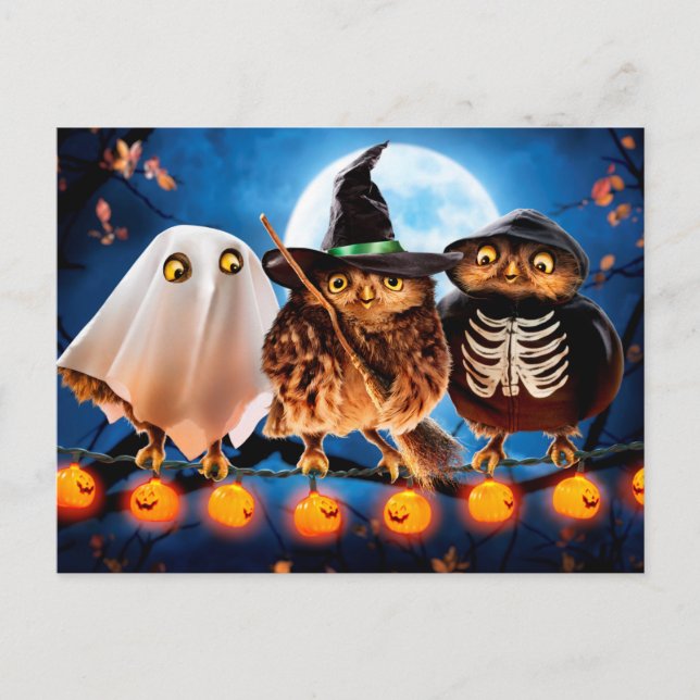 Cartão Postal De Convite Halloween Owls (Frente)