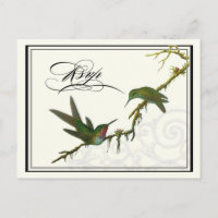 Hummingbird n Swirls - Cartão-postal Casado RSVP