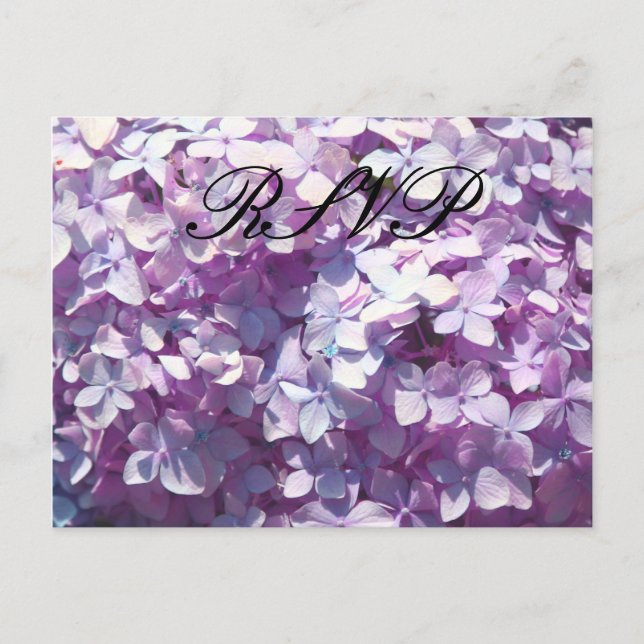 Cartão Postal De Convite Hydrangea, RSVP (Frente)