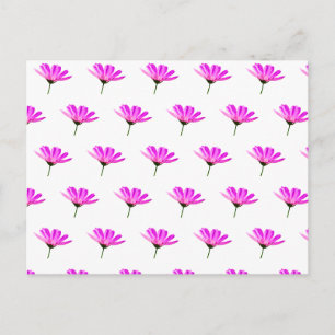 Cartão Postal De Convite Margarida Rosa 