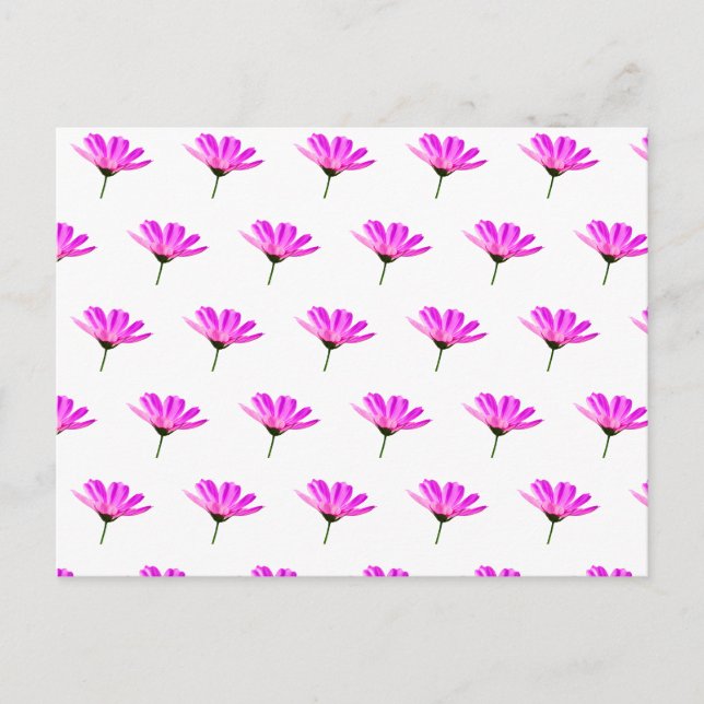 Cartão Postal De Convite Margarida Rosa  (Frente)