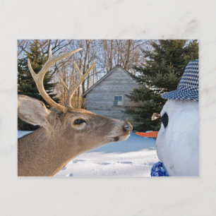 Cartão Postal De Convite O almoço convida