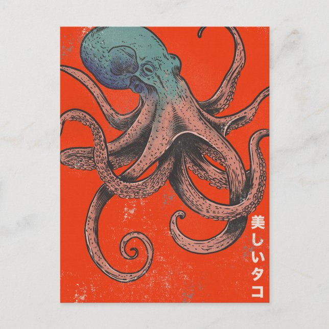 Cartão Postal De Convite O Polvo Bonito (Frente)