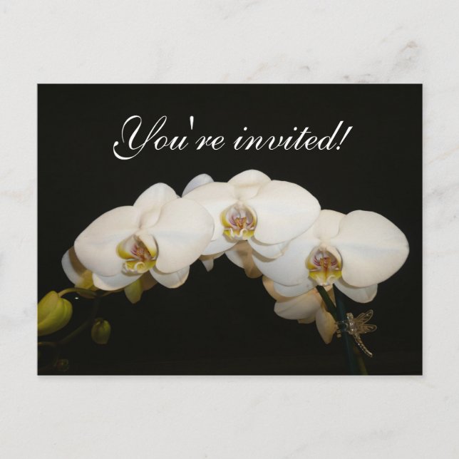 Cartão Postal De Convite Orquídeas brancas (Frente)