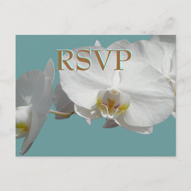 Cartão Postal De Convite Orquídeas Brancas RSVP de Casamento (Frente)