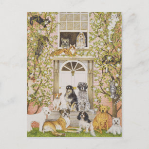 Cartão Postal De Convite Partido da Casa do País