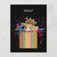 Peek-a-Boo Cat em uma caixa