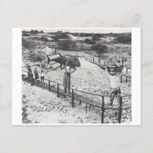 Cartão Postal De Convite Peixe grande -