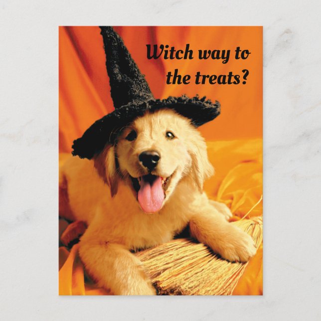 Cartão Postal De Convite Pup with Witch Hat and Broom (Frente)