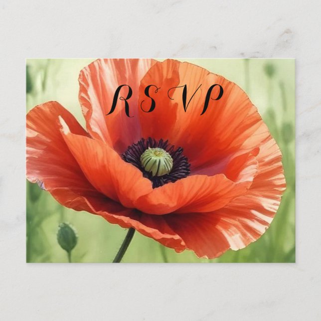 Cartão Postal De Convite Red Poppy RSVP Postcard (Frente)