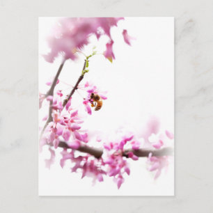 Cartão Postal De Convite Redbud & honeybee no Springtime