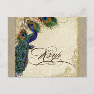 Cartão Postal De Convite Resposta de RSVP de Casamento Formal de Peacock & 