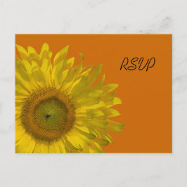 Cartão Postal De Convite Resposta RSVP de Casamento Laranja de Girassol Ama