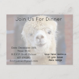 Cartão Postal De Convite Rosto de alpaca fofo       