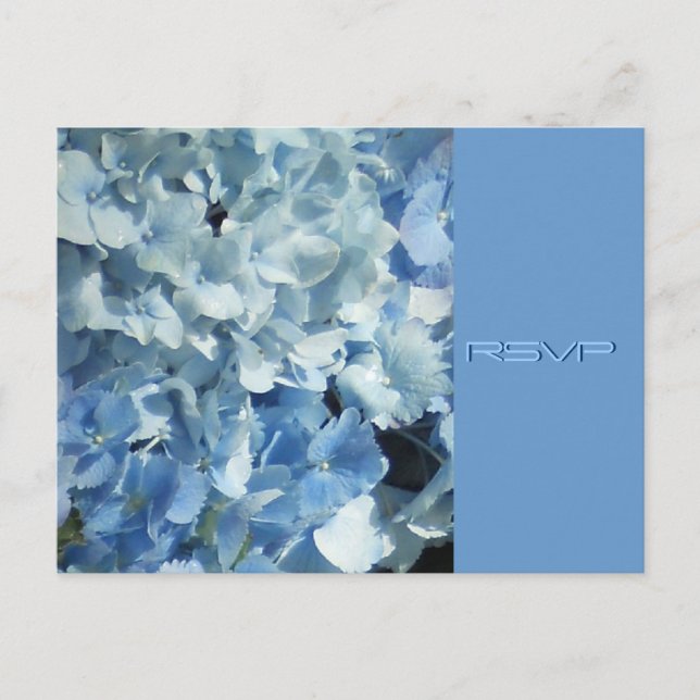 Cartão Postal De Convite RSVP de Casamento de Hydrangeas Azul (Frente)