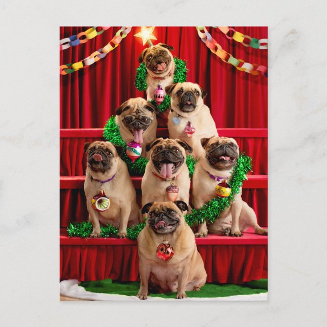 Cartão Postal De Convite Sete Pugs-a-Posing (Frente)