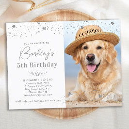 Cartão Postal De Convite Silver Stars Personalizado Pet Photo Dog Aniversár