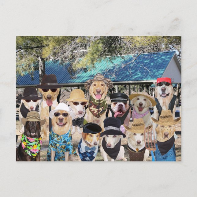 Cartão Postal De Convite Sindicato da Família Engraçado (Frente)