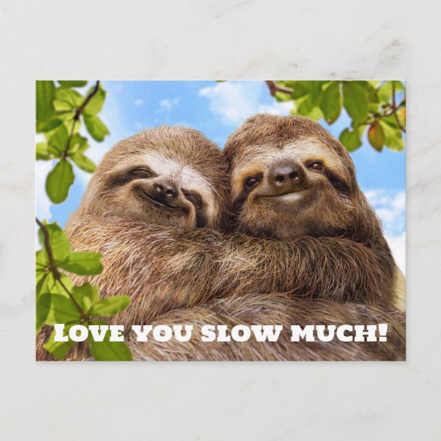 Cartão Postal De Convite Sloth Couple (Frente)