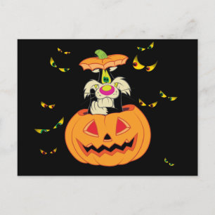 Cartão Postal De Convite SYLVESTER™ escondido em uma abóbora de Halloween