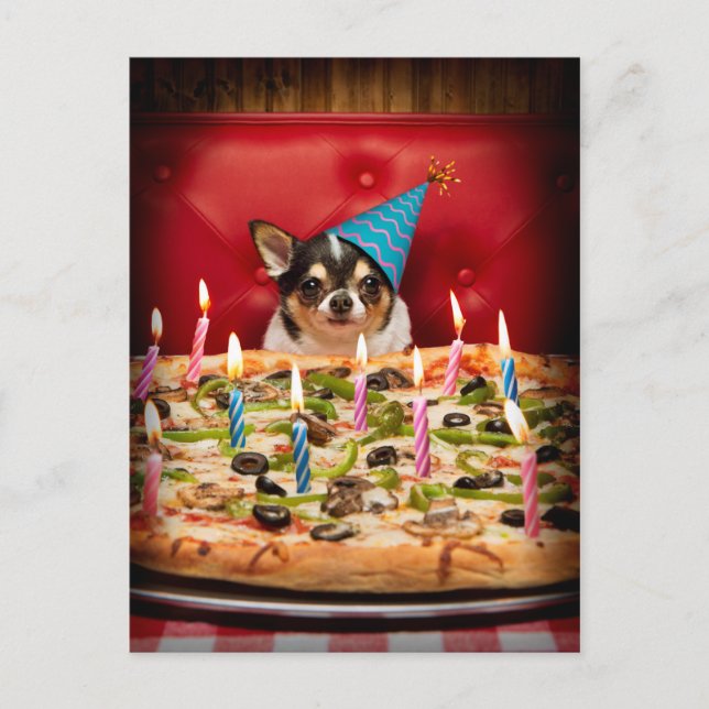 Cartão Postal De Convite Torta de Pizza de Aniversário Chihuahua (Frente)