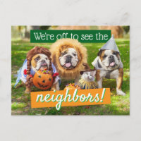 Três Bulldogs Vestidos