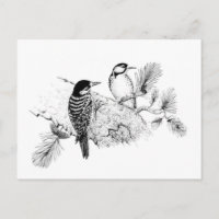 Vintage Love Birds Casando Salve A Data