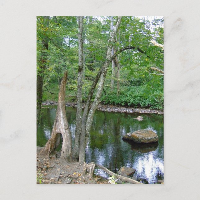 Cartão postal de Creek na Carolina do Norte (Frente)