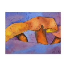 Cartão postal de Curiosidades da Natureza