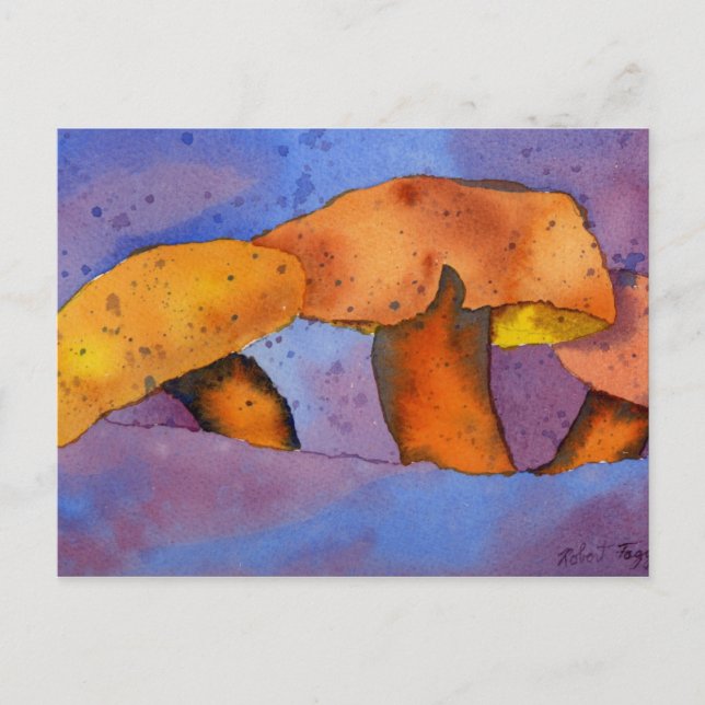 Cartão postal de Curiosidades da Natureza (Frente)