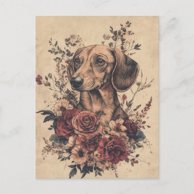 Cartão postal de dachshund em aquarela (Frente)