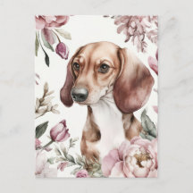 Cartão postal de dachshund em aquarela